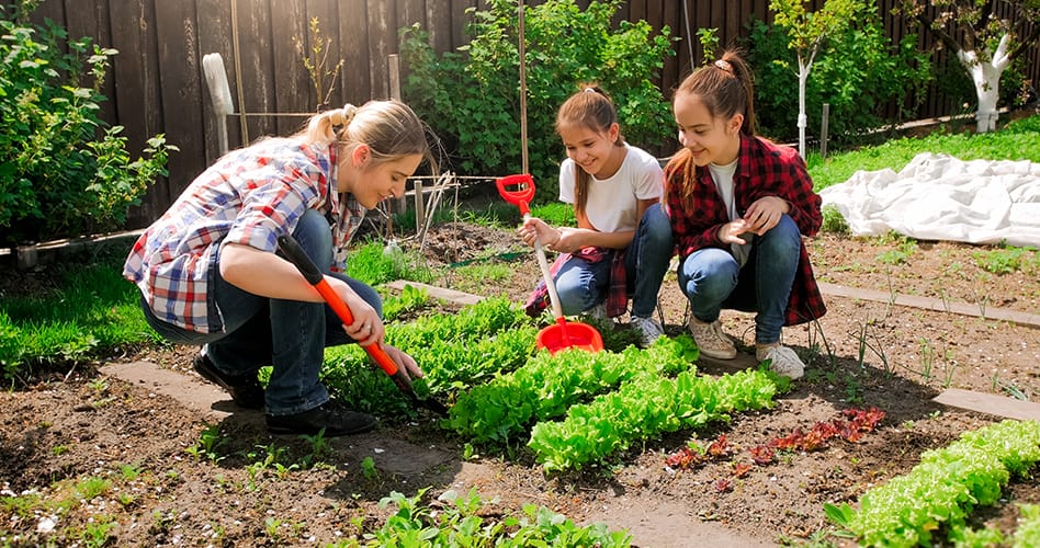 gardening